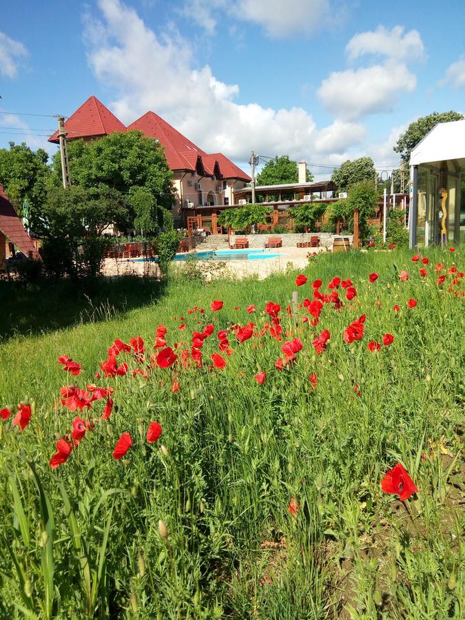 Casa Danielescu Hotell Târgu Jiu Eksteriør bilde